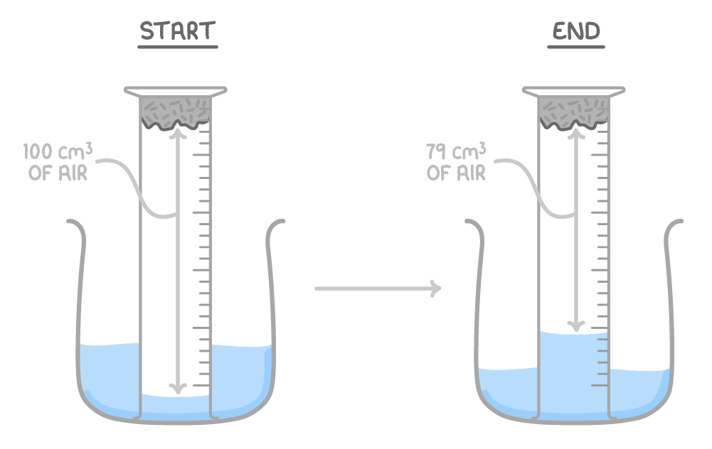 Two panels, start and end, each showing an upside-down measuring cylinder with iron wool standing in water; the trapped air falls from 100 cubic centimetres to 79 cubic centimetres as the water level rises.