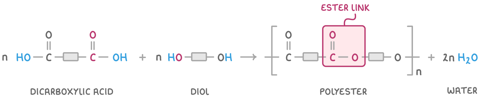 n dicarboxylic acid plus n diol giving the polyester repeat unit in brackets with subscript n, plus 2n H2O, the carbon chains drawn as grey blocks and the -CO-O- boxed and labelled ester link.