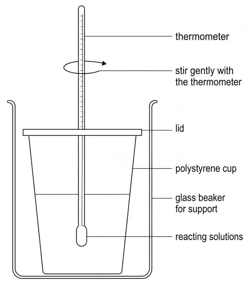 A polystyrene cup of reacting solutions stands inside a beaker, a thermometer through its lid, labelled thermometer, stir gently with the thermometer, lid, polystyrene cup, glass beaker for support, and reacting solutions.