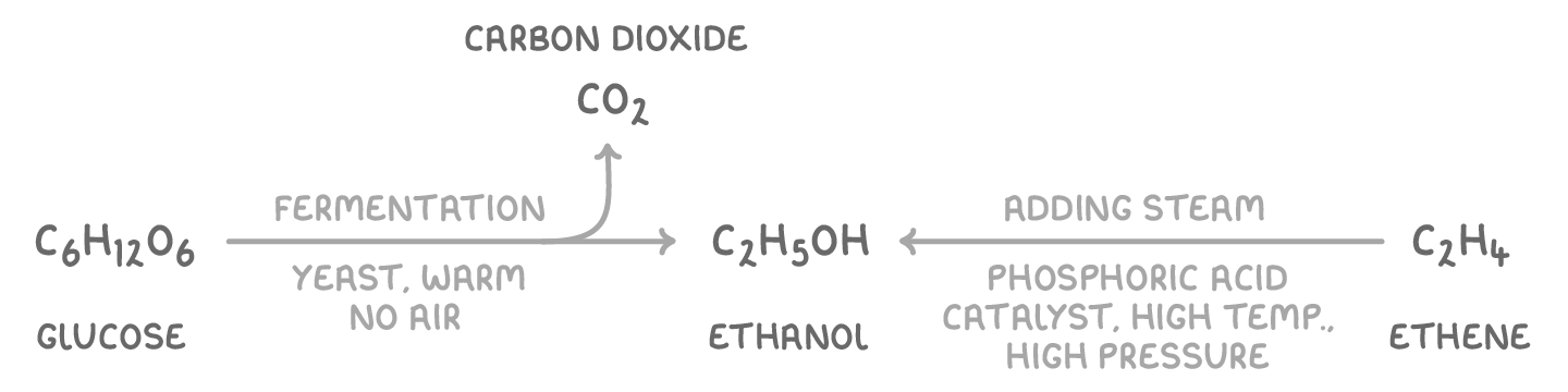 Two arrows meeting at C2H5OH ethanol: from C6H12O6 glucose marked fermentation, yeast, warm, no air, with carbon dioxide CO2 above; from C2H4 ethene, adding steam, phosphoric acid catalyst, high temp., high pressure.
