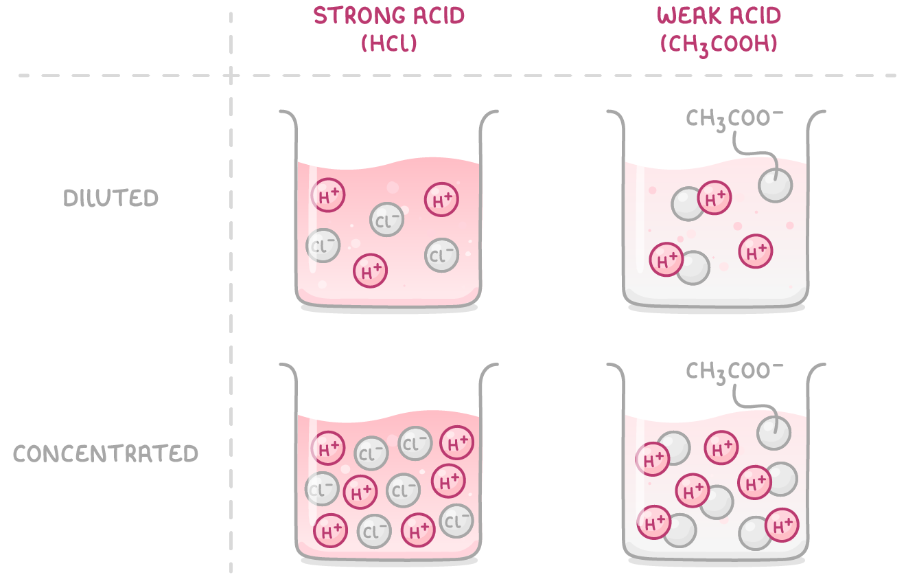 Four beakers, columns strong acid (HCl) and weak acid (CH3COOH), rows diluted and concentrated; the strong acid ones hold separate H+ and Cl- ions, the weak ones H+ still joined to particles labelled CH3COO-.