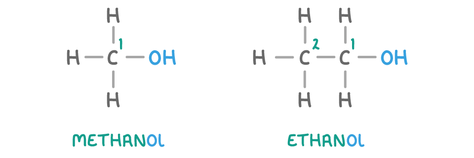 Two structures labelled methanol and ethanol side by side, every carbon, hydrogen and bond drawn, each ending in an OH group with the chain carbons numbered from that end.