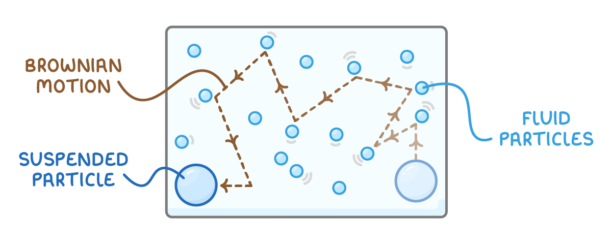 A box of fluid holding many small blue particles and two larger ones, with a dashed zigzag arrow path traced across it, labelled brownian motion, suspended particle and fluid particles.