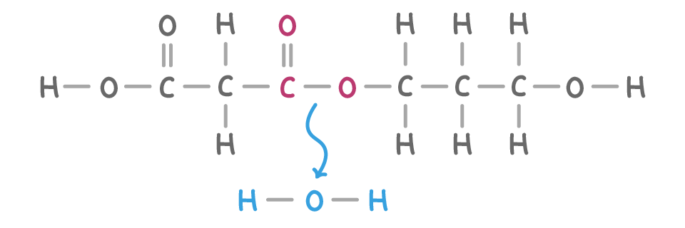 The acid and diol joined into one chain through an oxygen in the middle, drawn out in full, a curved blue arrow running from that link down to a separate H-O-H molecule.