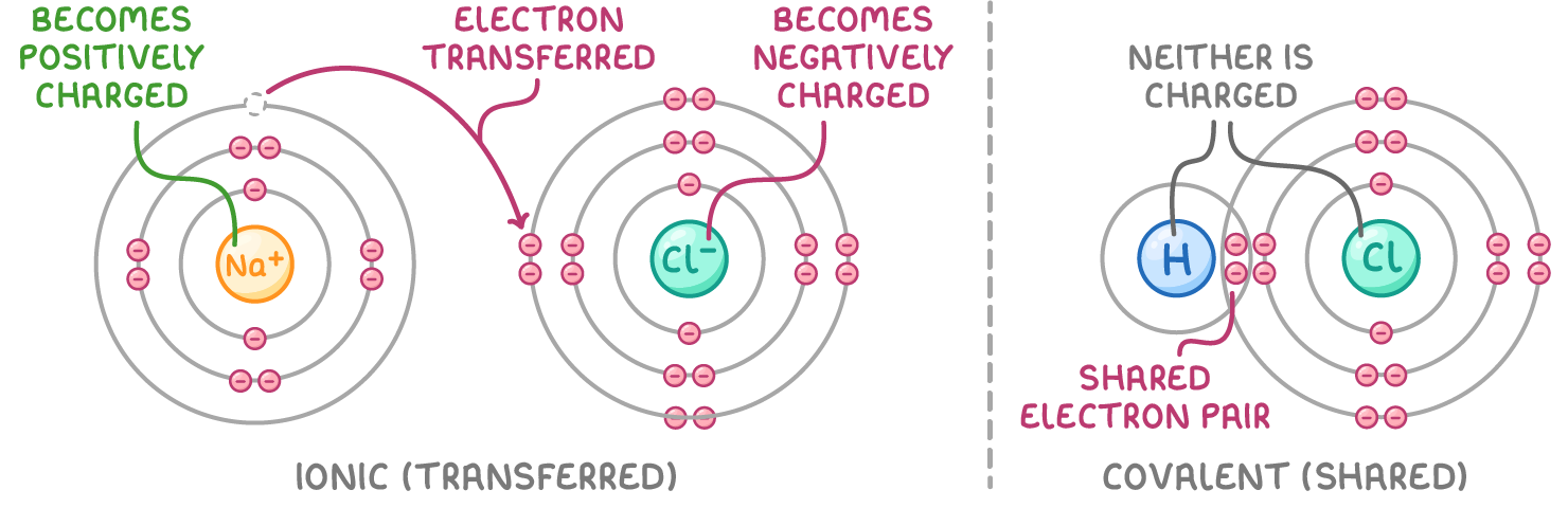 Two panels: ionic (transferred), with sodium's outer electron moving to chlorine, labelled becomes positively charged and becomes negatively charged, and covalent (shared), with hydrogen and chlorine sharing an electron pair, labelled neither is charged.