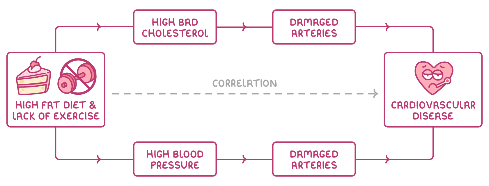 Boxes joined by arrows lead from high fat diet & lack of exercise, through high bad cholesterol and high blood pressure, to damaged arteries and cardiovascular disease, with a dashed arrow labelled correlation between.