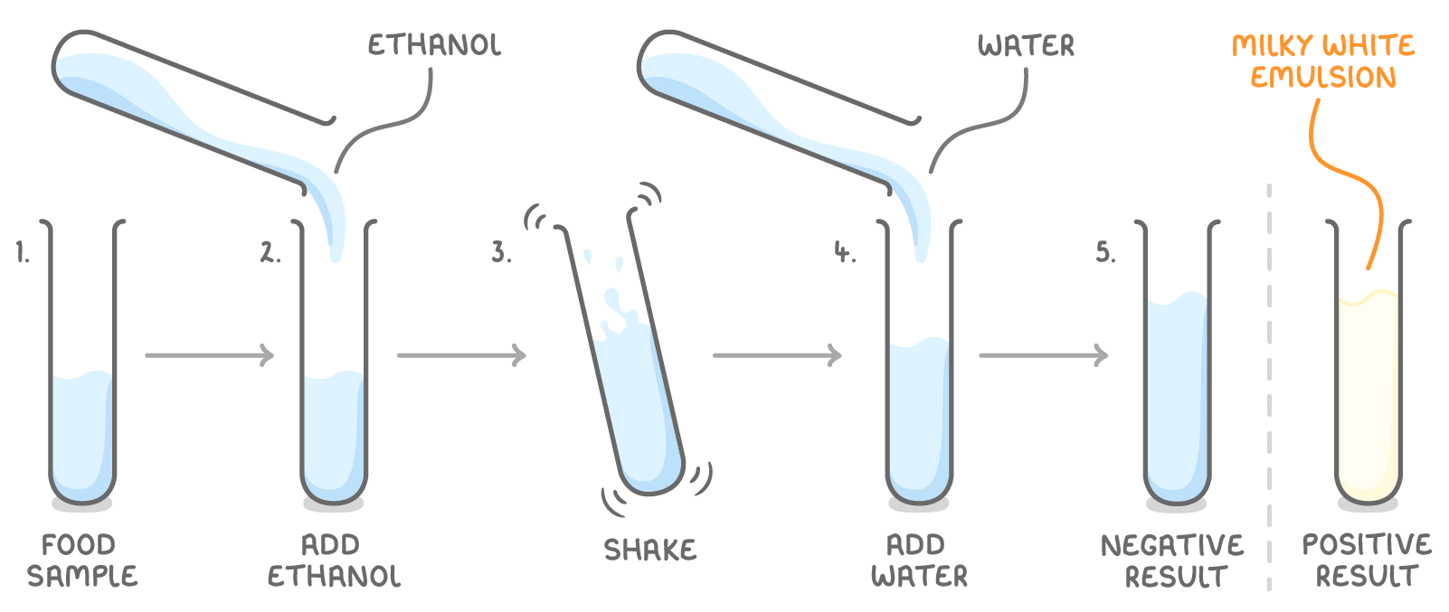 A food sample has ethanol poured in, is shaken, then water is added, giving a clear tube labelled negative result beside a cloudy tube labelled positive result and milky white emulsion.