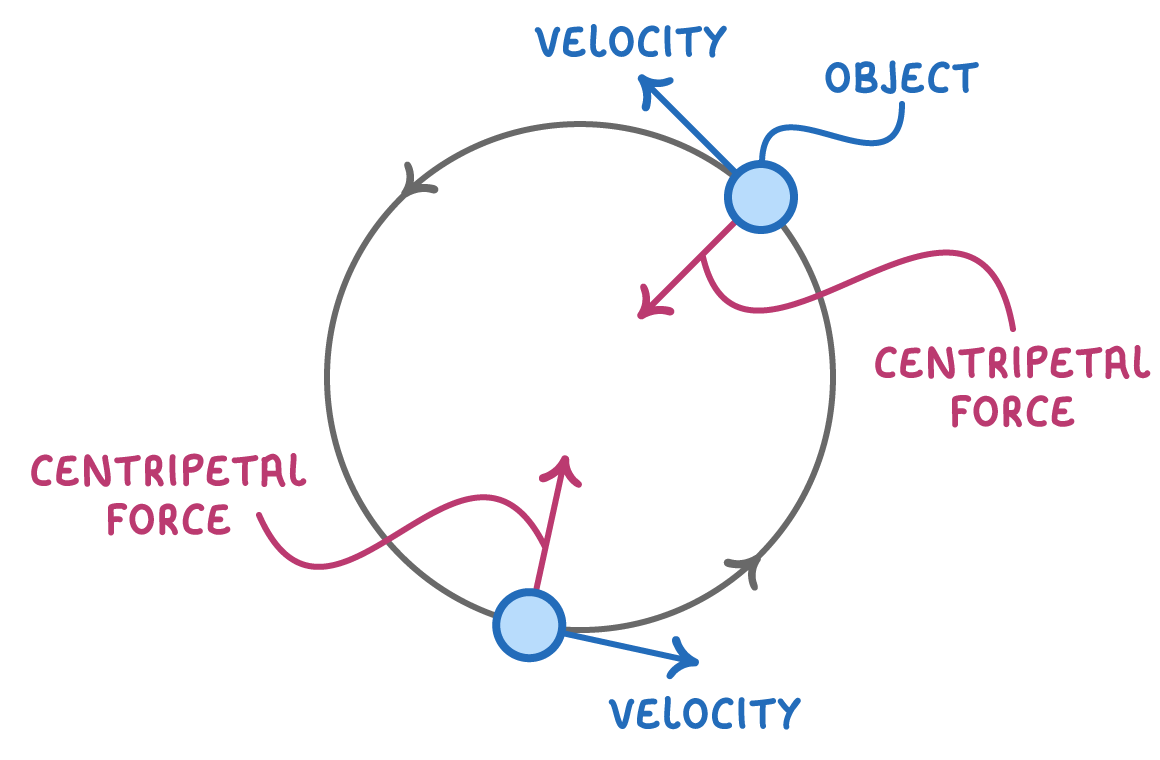 A ball on a circular path at two positions, each with a blue arrow labelled velocity along the path and a pink arrow labelled centripetal force pointing to the centre, one labelled object.