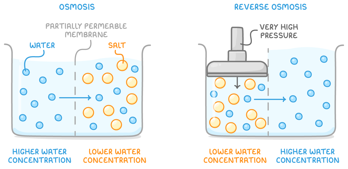 Two tanks headed osmosis and reverse osmosis, split by partially permeable membranes, with blue water particles, orange salt particles, and an arrow showing water crossing each membrane, plus a piston labelled very high pressure.