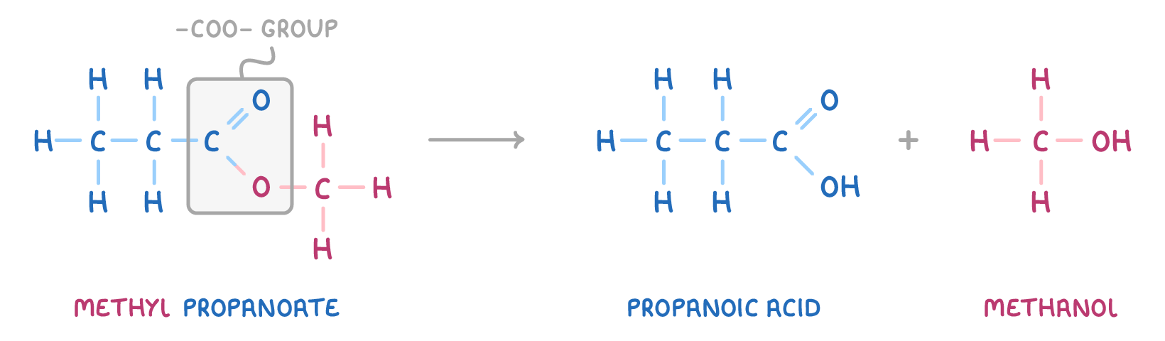 Methyl propanoate on the left with a box round its -COO- group, an arrow, then propanoic acid plus methanol, everything drawn atom by atom and all three named beneath.