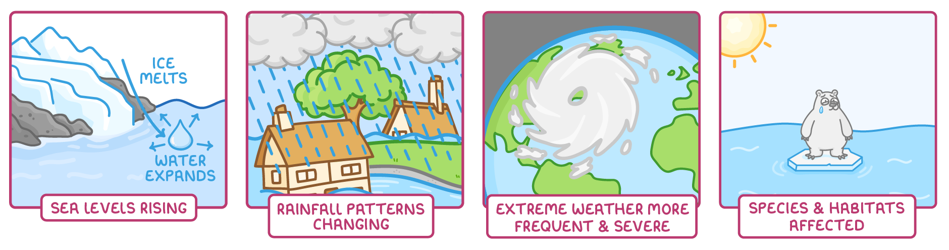 Four labelled panels: ice melting off a glacier into the sea, with the water expanding, for sea levels rising, flooded houses in rain for rainfall patterns changing, a storm over Earth for extreme weather, and a stranded polar bear for species and habitats affected.
