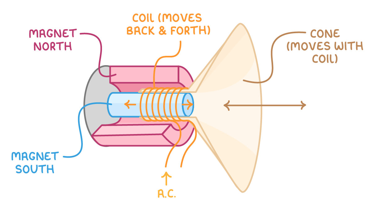 A cutaway loudspeaker: a coil on a tube inside a ring magnet, a cone at the front, labelled magnet north, magnet south, coil (moves back & forth), cone (moves with coil) and A.C.
