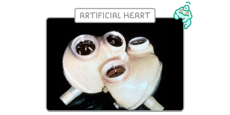 A photograph of a pale fabric-covered pump with four open metal-rimmed ports and tubing beneath, captioned artificial heart, with a small cartoon character in the corner.