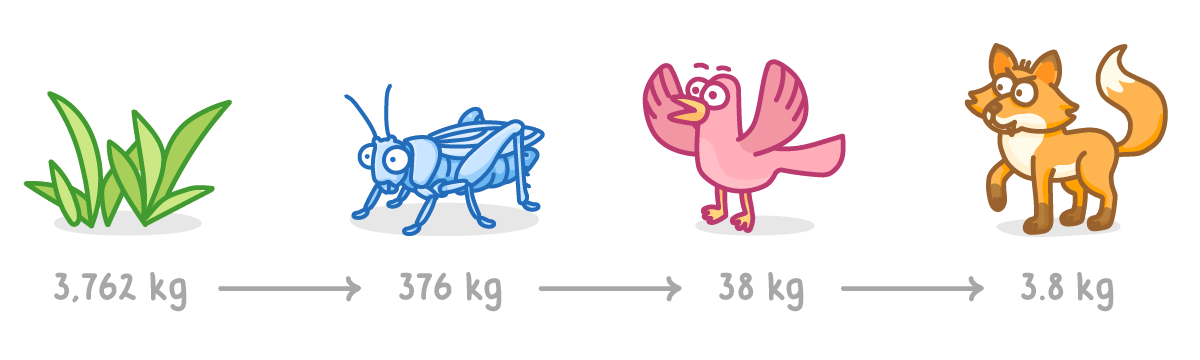 A tuft of grass, a grasshopper, a bird and a fox in a row, linked by arrows and labelled 3,762 kg, 376 kg, 38 kg and 3.8 kg.