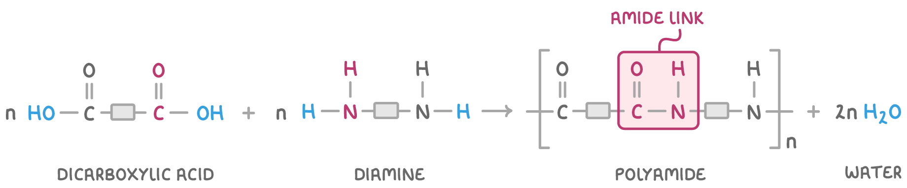 n dicarboxylic acid plus n diamine giving the polyamide repeat unit in brackets with subscript n, plus 2n H2O, the carbon chains drawn as grey blocks and the -CO-NH- boxed and labelled amide link.