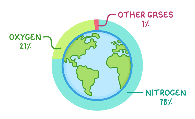 The Earth drawn inside a ring split like a pie chart, with a large section labelled nitrogen 78%, a smaller one labelled oxygen 21% and a thin sliver labelled other gases 1%.