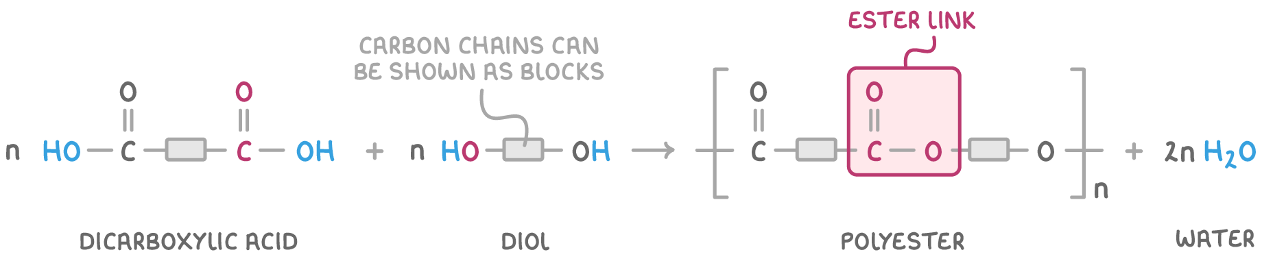 n dicarboxylic acid plus n diol giving the polyester repeat unit in brackets with subscript n, plus 2n H2O, the carbon chains shown as grey blocks and the -CO-O- boxed and labelled ester link.