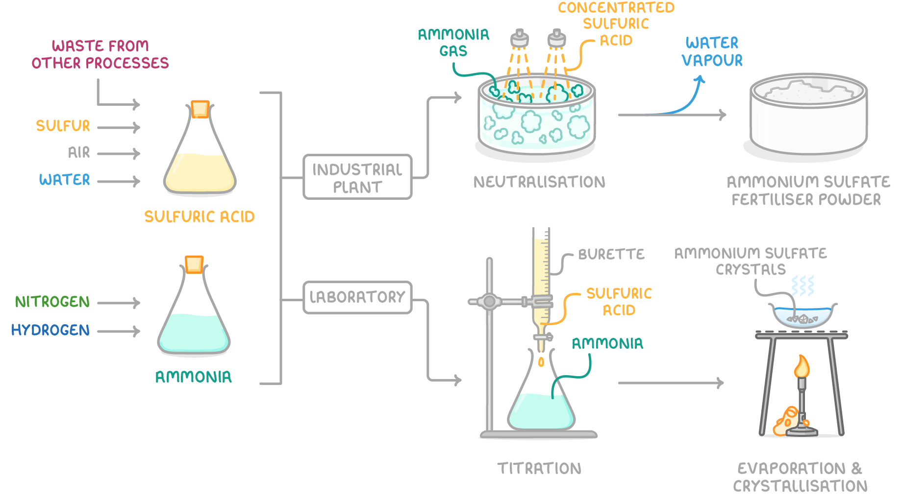 Sulfuric acid, made from sulfur, air, water and waste from other processes, and ammonia go two ways: an industrial plant sprays them together to give fertiliser powder; a laboratory titrates and evaporates to give crystals.