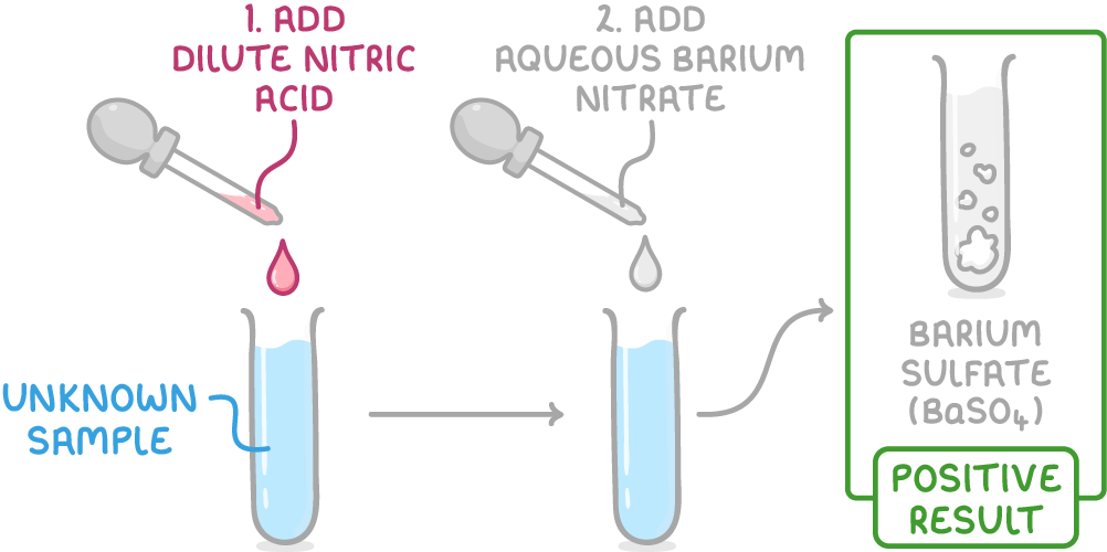 Droppers add dilute nitric acid then aqueous barium nitrate to a tube of unknown sample, with an arrow to a green box showing a tube of white solid labelled barium sulfate (BaSO4), positive result.