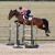 Equestrian Event Photography Workshop | SJ013886.jpg