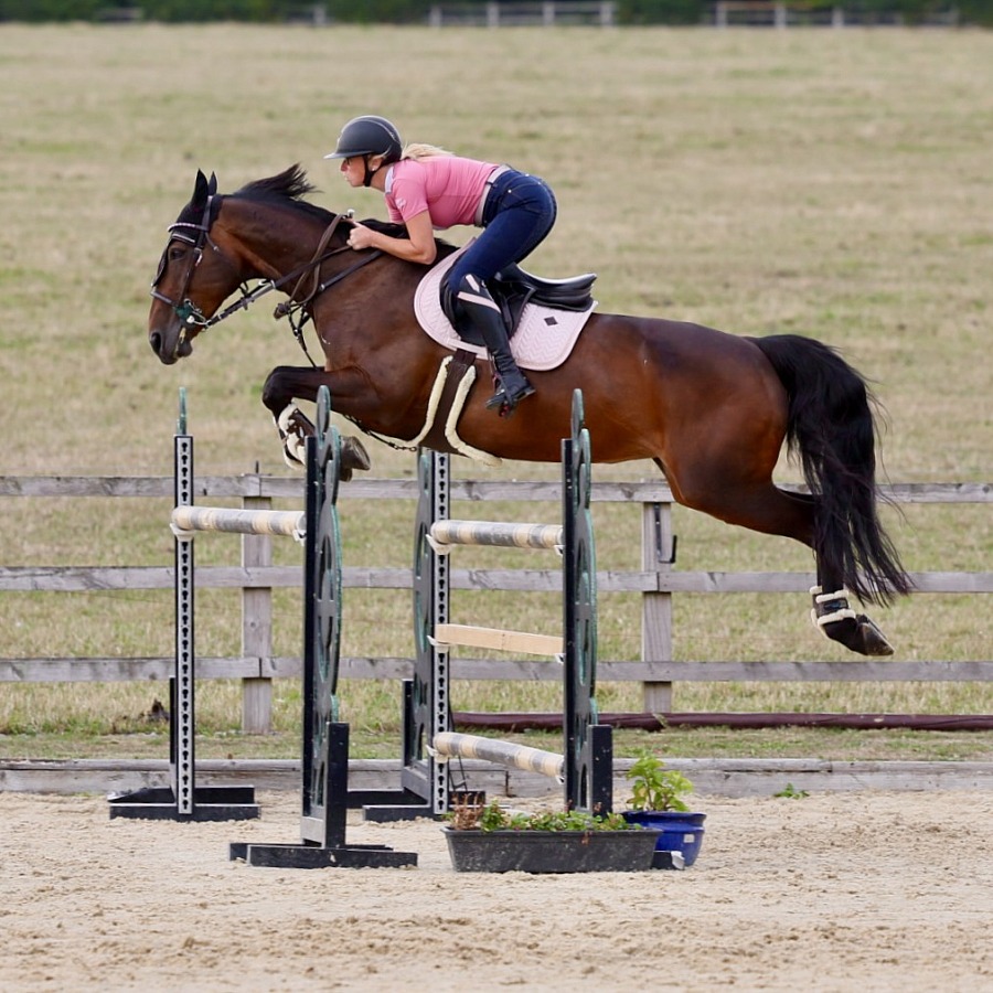 Equestrian Event Photography Workshop