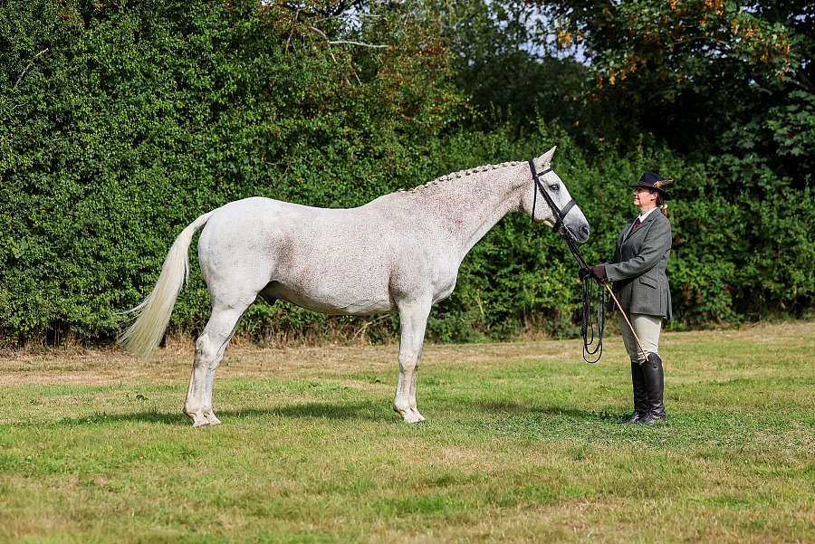Horse and Rider Magazine
