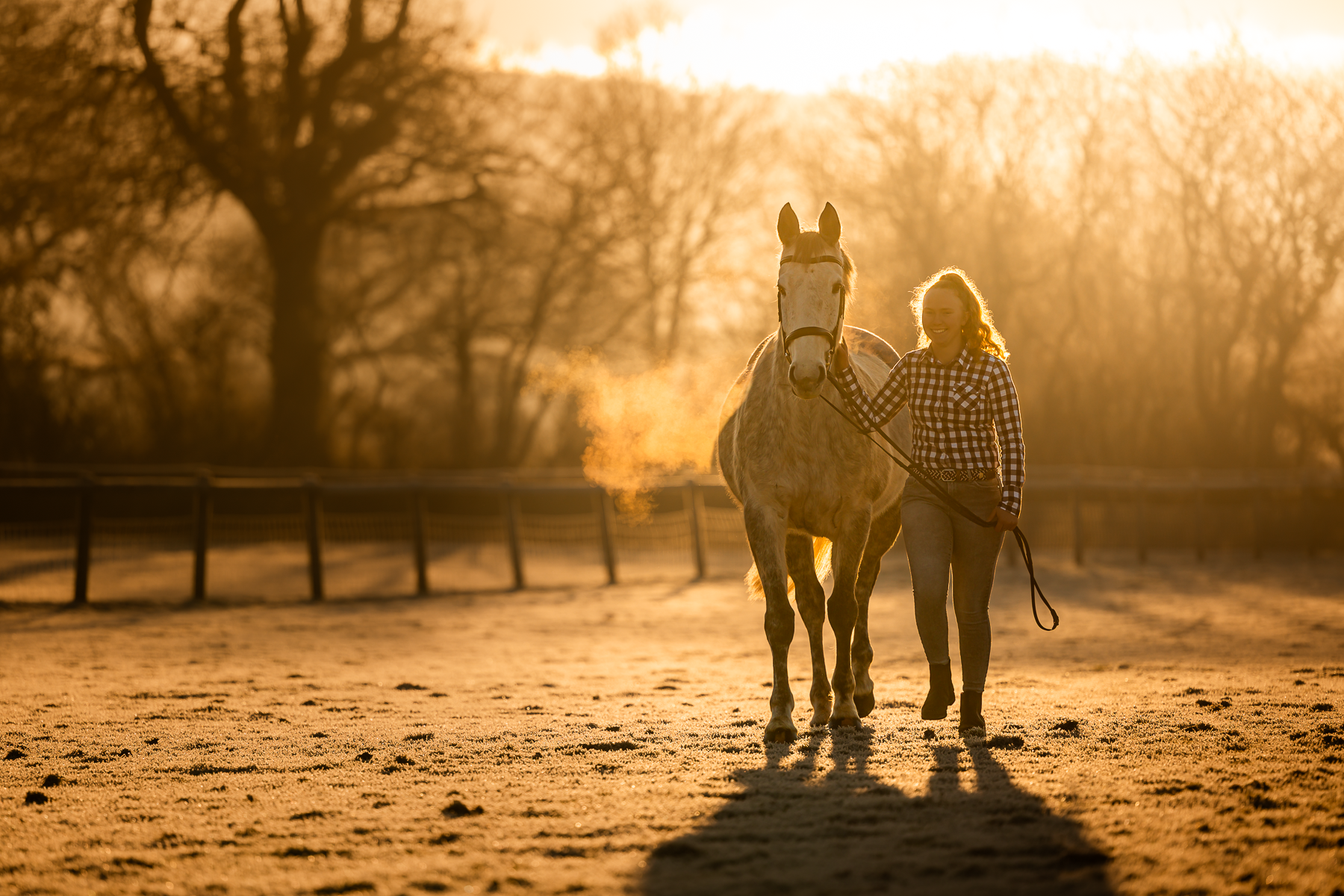 Mini Winter Photoshoot | 20013195.png