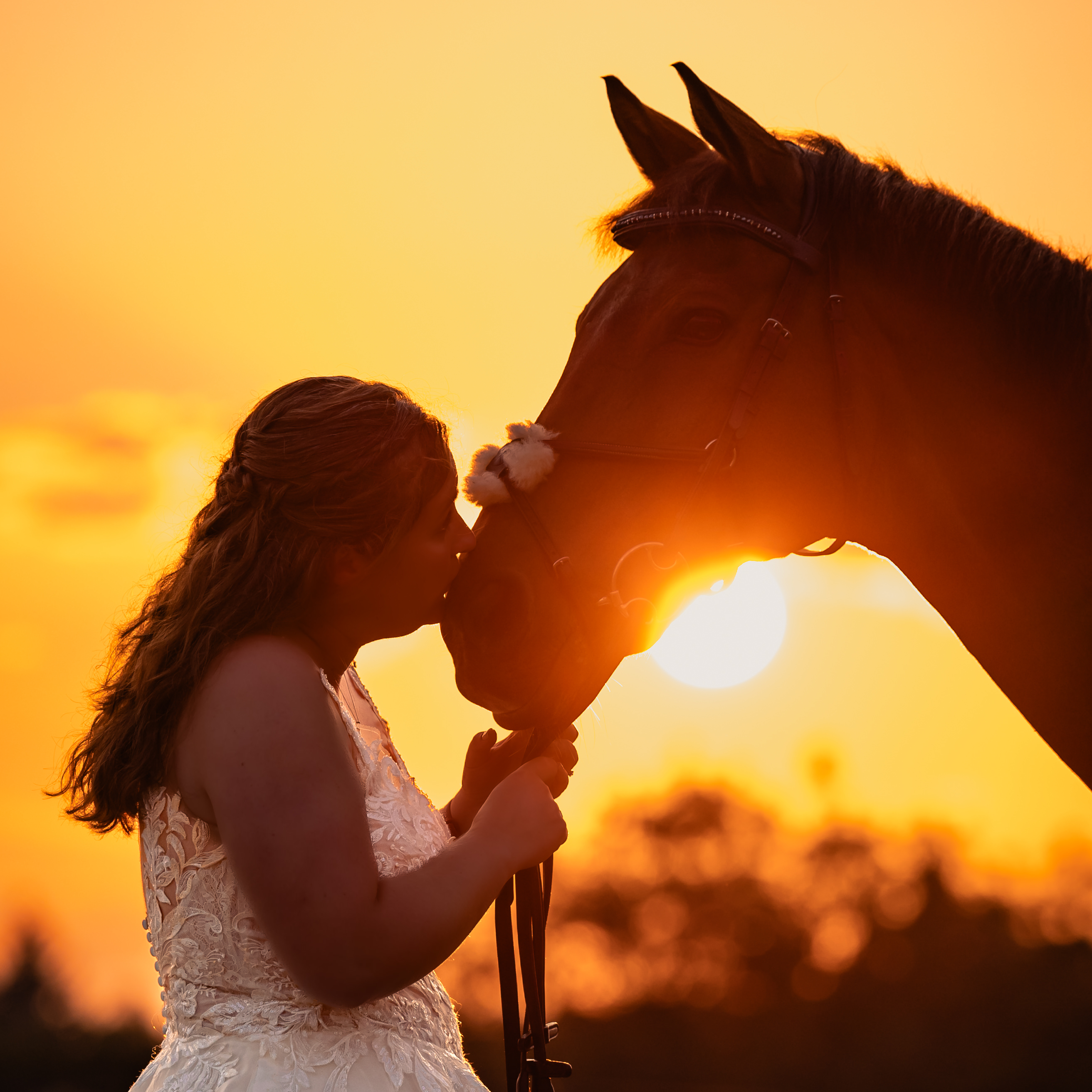 Group Equestrian Portrait Shoot | 01083547_copy.png