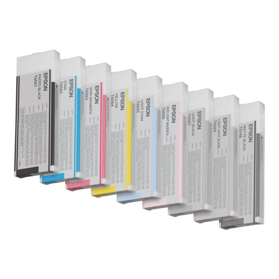 Epson T6061