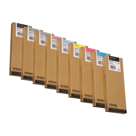 Epson T6061