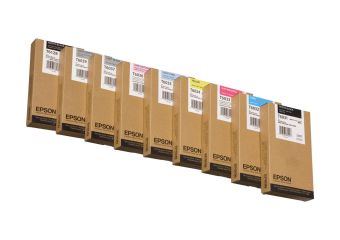 Epson T6034