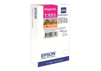 Epson T7013