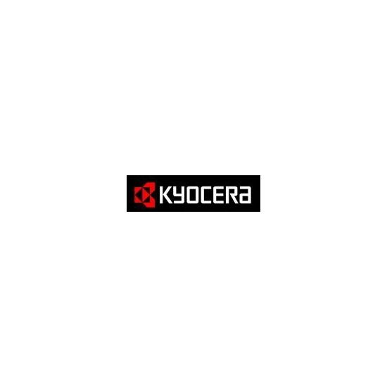 Kyocera DV 320