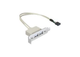 DeLOCK Slot bracket