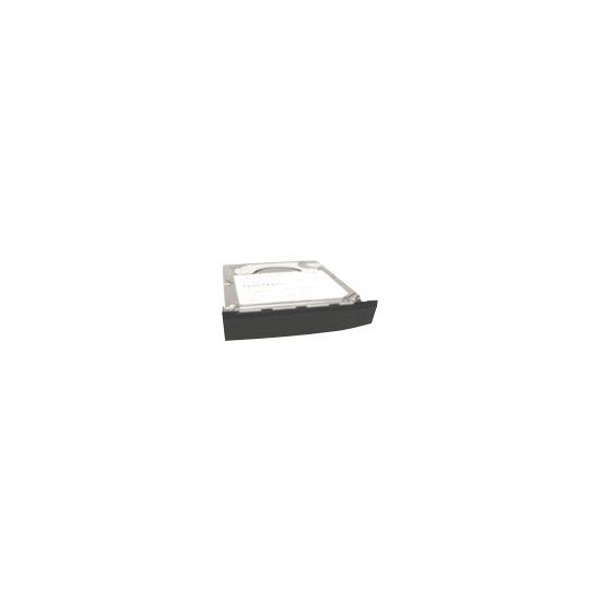 MicroStorage Primary - 750GB
