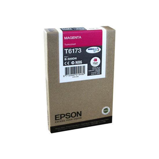Epson T6173