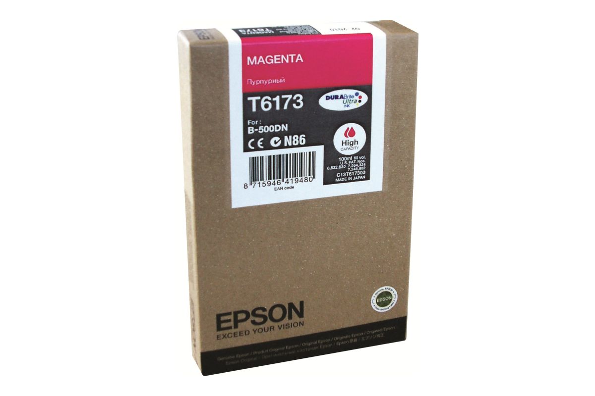 Epson T6173
