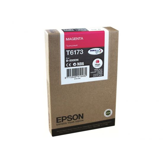 Epson T6173