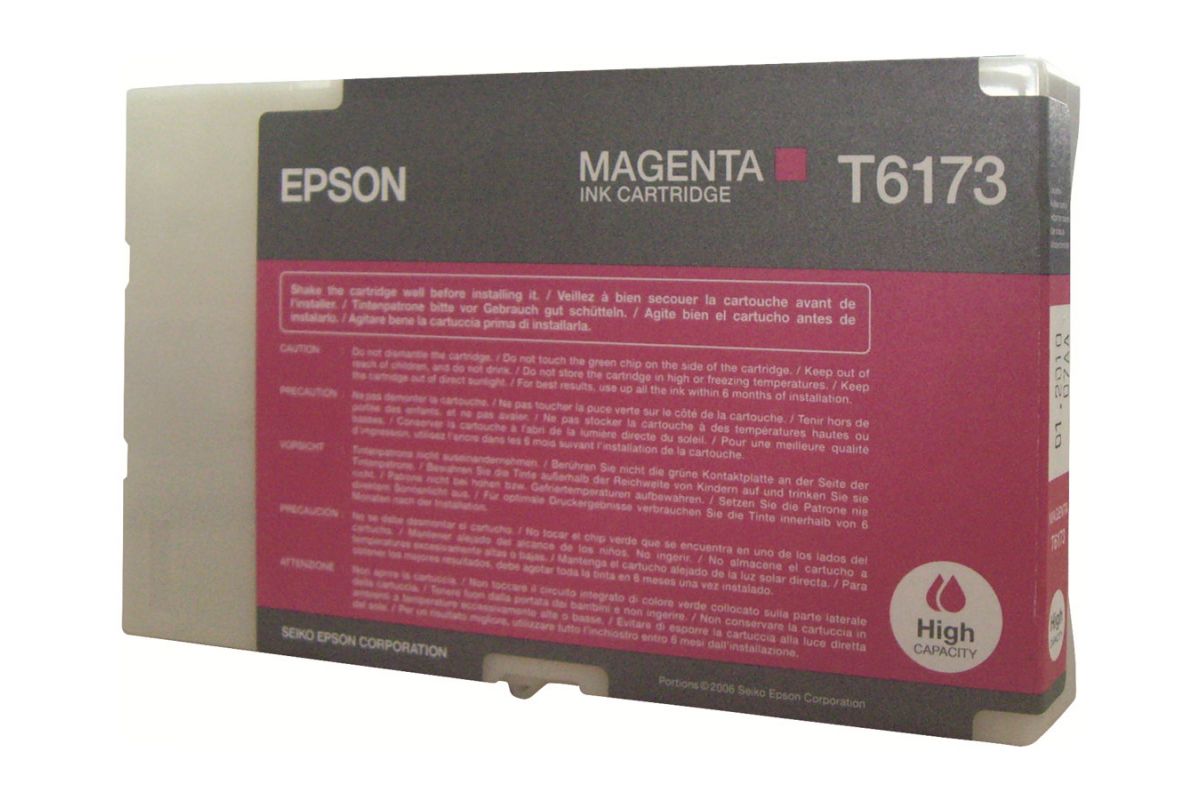 Epson T6173