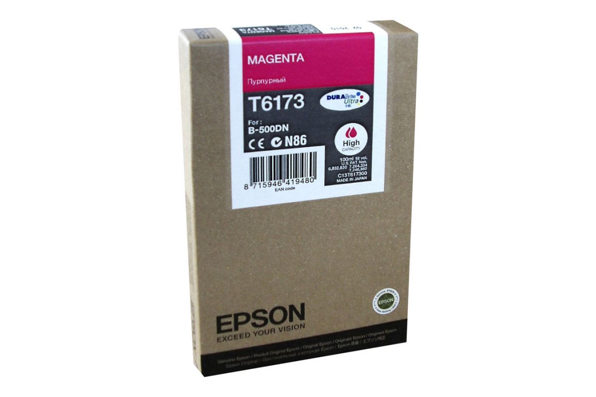 Epson T6173