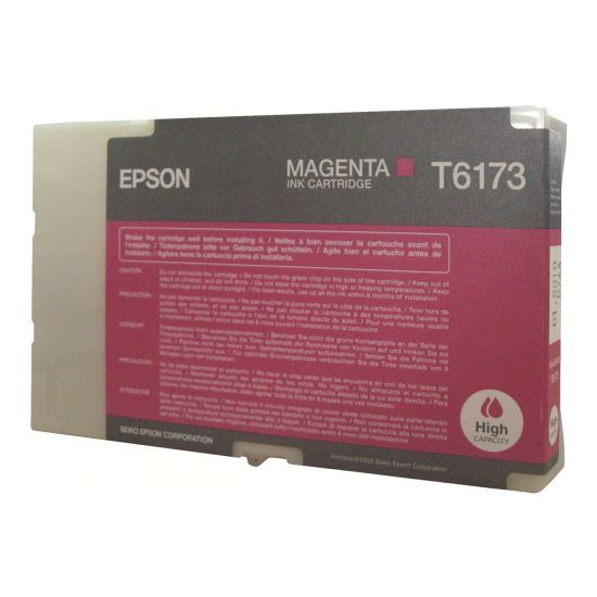 Epson T6173