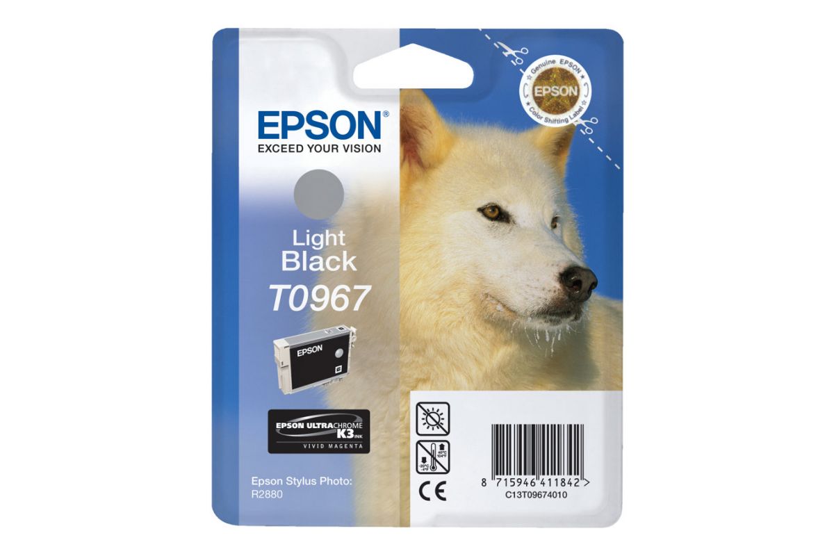 Epson T0967