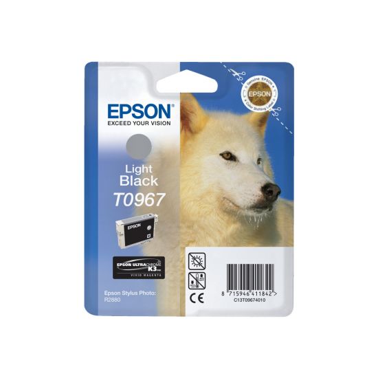 Epson T0967