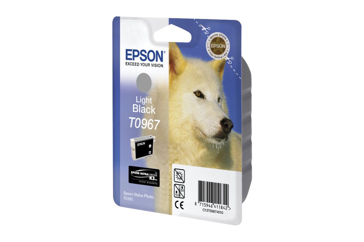 Epson T0967