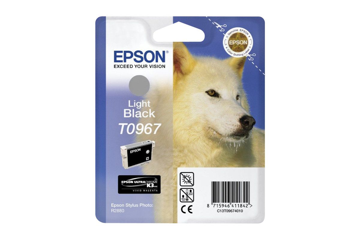 Epson T0967