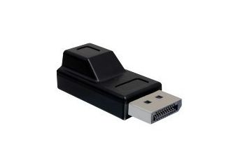 DeLOCK DisplayPort adapter