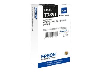 Epson T7891