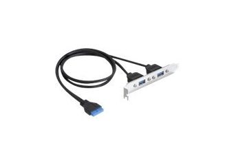 DeLOCK Slot bracket