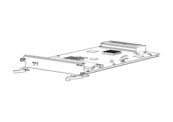 Juniper Networks SRX3600 Services Gateway Clustering Module