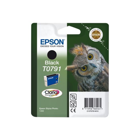 Epson T0791